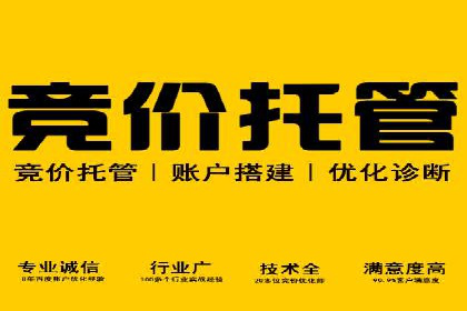 百度推广实战：成功案例解析